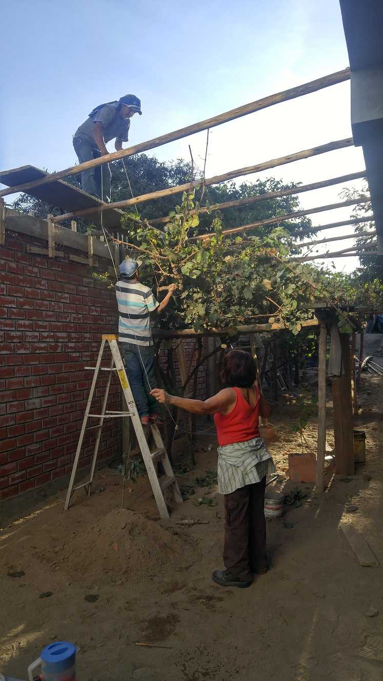 20170512_163647_HDRlr