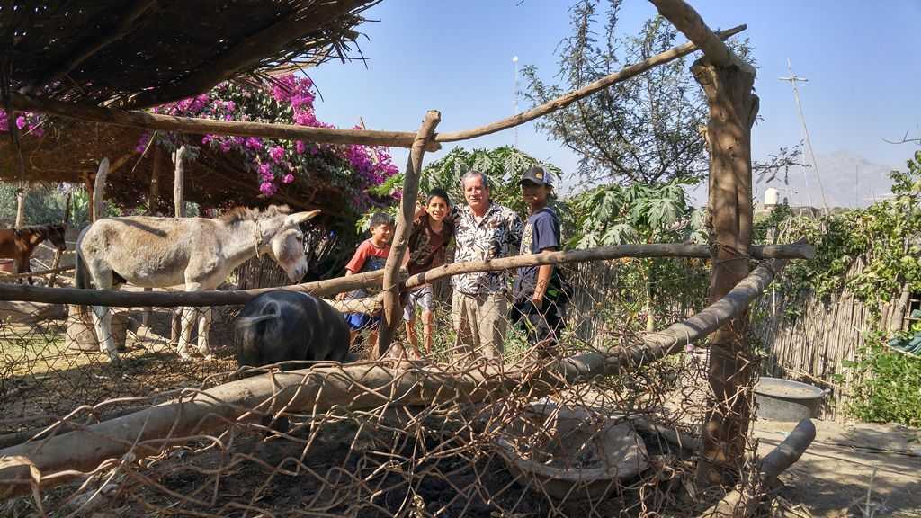 El Carmen farm animals